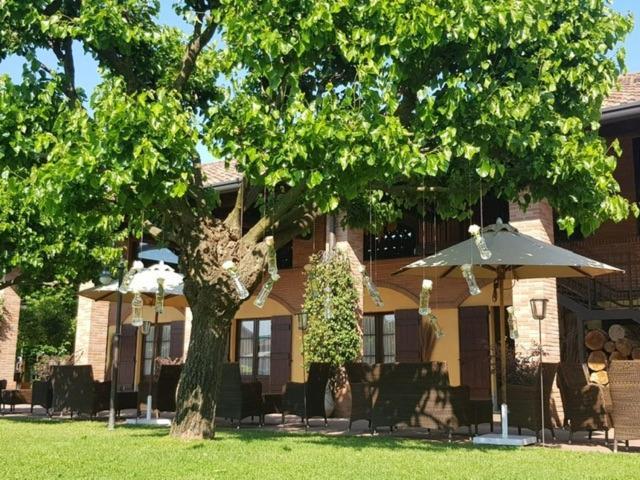 Agriturismo La Camilla コンコレッツォ エクステリア 写真